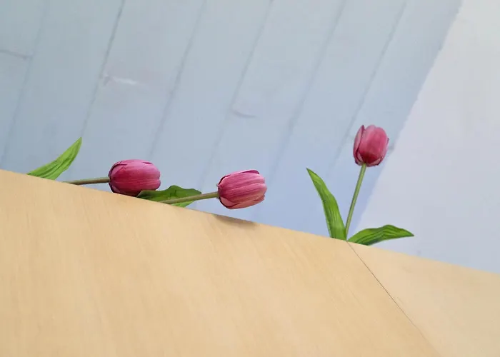 Resart Traditional House Hotel *