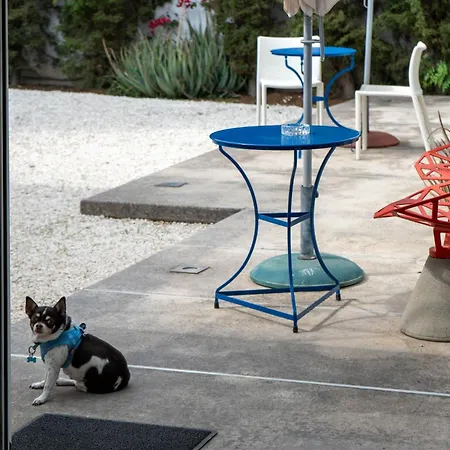 Resart Traditional House * Никосия